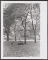 [Woman and dog in park]