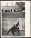 Whitney Museum