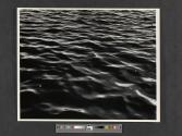 Water, St. John's River