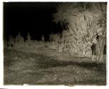 Taking motion pictures of the natives