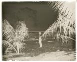 Mr. Martin Johnson on the Beach