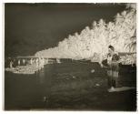 On the Beach during the harvesting of the cocoanuts