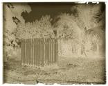 [Gravesite]