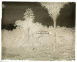 At Tulagi