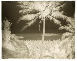 At Tulagi