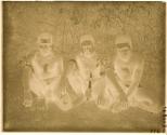 Long Numbers people of the island of Tanna