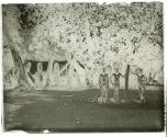 Dancing ground at Vao