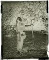 Vao, Elephantisis