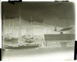 Tahiti Harbor