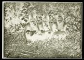 [Three women sitting in the grass]