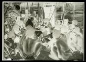 In camp on Santo Island