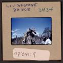 [Person in traditional clothing and mask, Livingstone, Zambia (travel slide)]