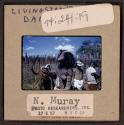 [People in traditional clothing and masks, Livingstone, Zambia (travel slide)]