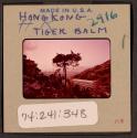 [Tiger Balm Garden, Hong Kong, China (travel slide)]