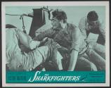 The Sharkfighters