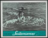 The Sharkfighters