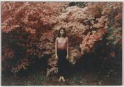 [Woman in front of pink flowers]