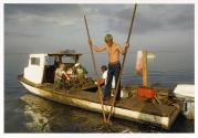 Oyster Harvesting