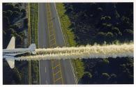 Mosquito Attack