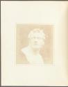Bust of Patroclus