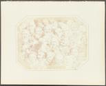Copy of a Lithographic Print