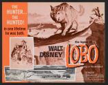 The Legend of Lobo