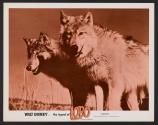 The Legend of Lobo