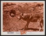 The Legend of Lobo
