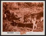 The Legend of Lobo