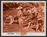 The Legend of Lobo
