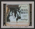 Black Beauty