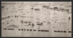 [Ohio River flood, south of Louisville, Kentucky]