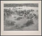 [Ohio River flood, Cincinnati, Ohio]