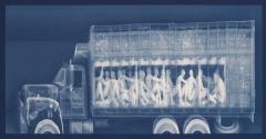 Backscatter Blueprint (Coyotaje)