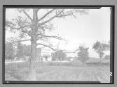 [View of Store]