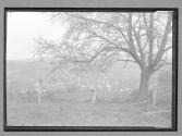 [View of Valley Town]