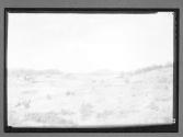 [Rural View]