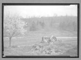 [Tractor/Fields]