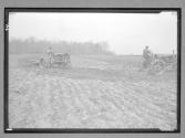 [2 Tractors/Field]