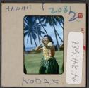 [Hula dancer, Hawaii (travel slide)]