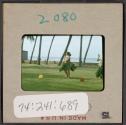 [Hula dancer, Hawaii (travel slide)]