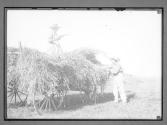 Farmer and Wife with Load of Hay, VT. 1909