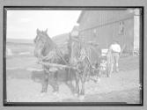 Farm Team Upstate, NY