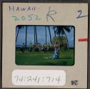 [Hula dancers and musicians, Hawaii (travel slide)]
