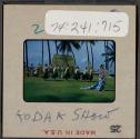 [Hula dancers and musicians, Hawaii (travel slide)]