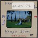 [Hula dancers and musicians, Hawaii (travel slide)]
