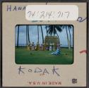 [Hula dancer and musicians, Hawaii (travel slide)]
