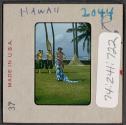 [Hula dancers, Hawaii (travel slide)]