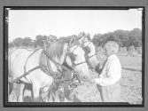 Farmer and Horses