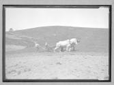 Small Farm Work